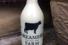 1_56213639_2368287559888884_1927703174961954816_n